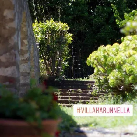 Marunnella