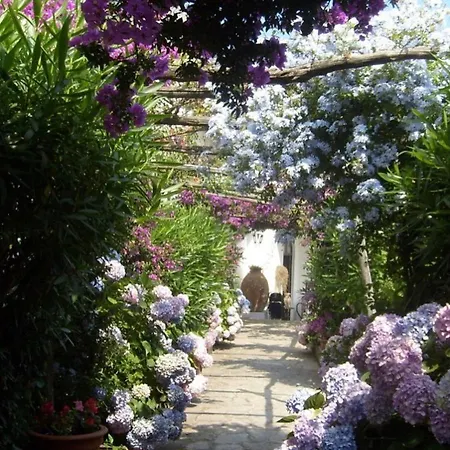 Guest house Marunnella 2*