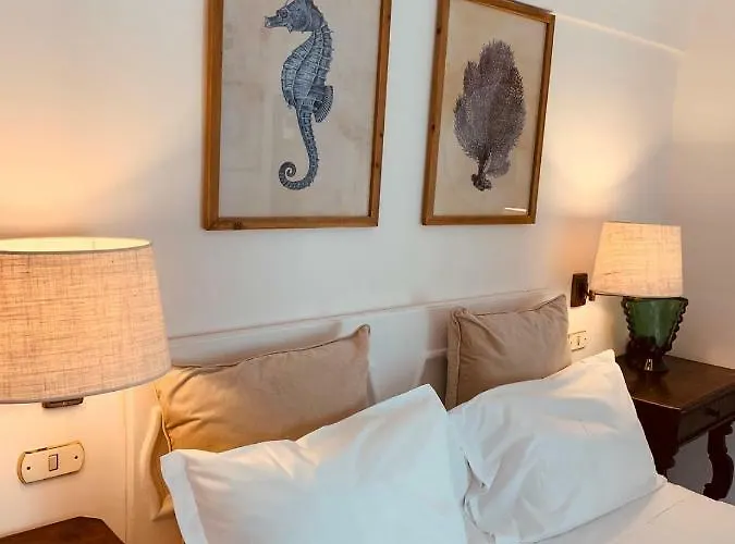 招待所 Marunnella 卡普里