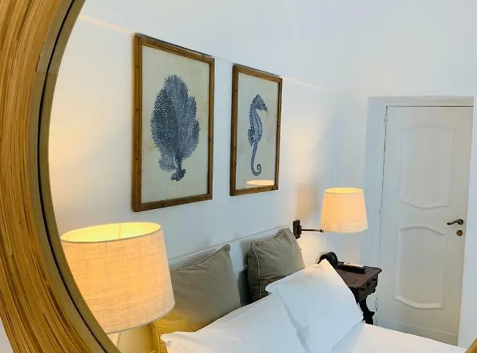 招待所 Marunnella